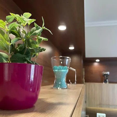 Asboth Taylor Budapeszt